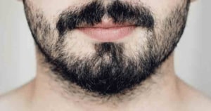 greffe barbe